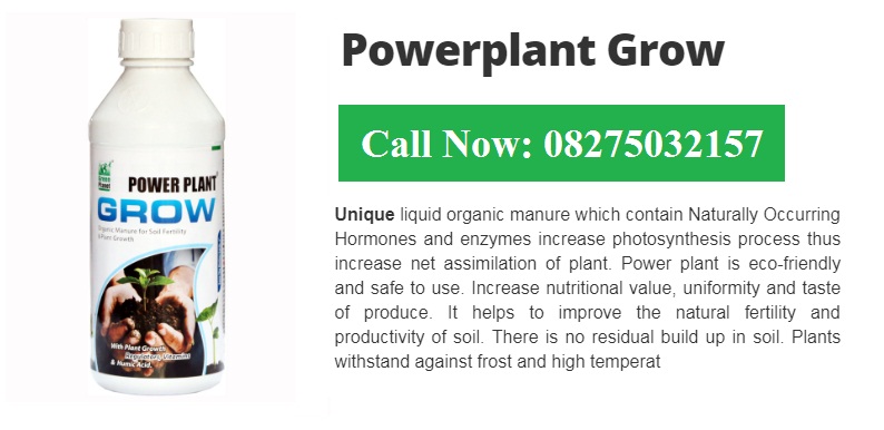 Green Planet Bio Products Ahmednagar Mobile  shop Ahmednagar